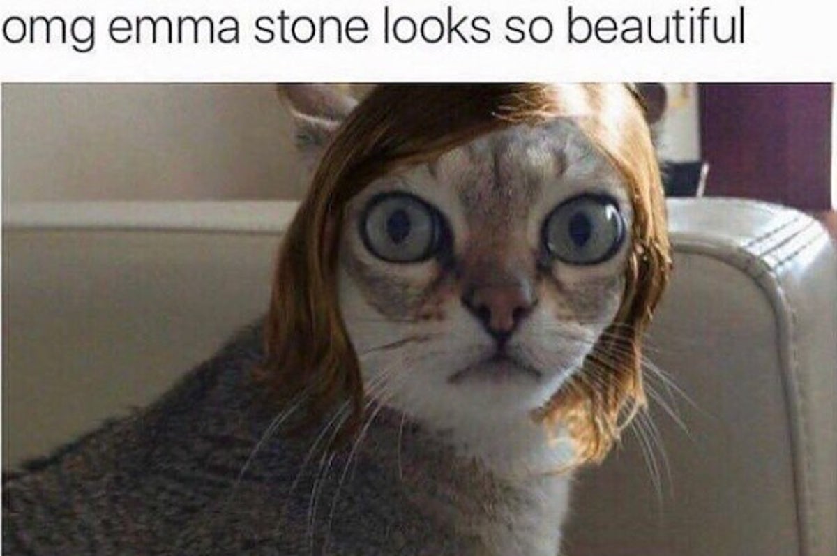 32 Memes That Will Make You Say Wow I Needed That Laugh