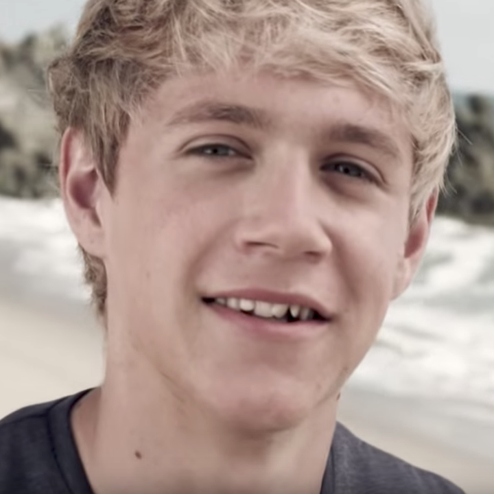 funko pop niall horan