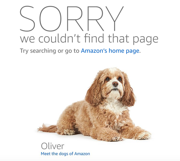 If you've ever been shopping on Amazon and accidentally typed in a wrong URL, you know that Amazon's 404 page features a rotation of incredibly cute doggos belonging to Amazon employees.