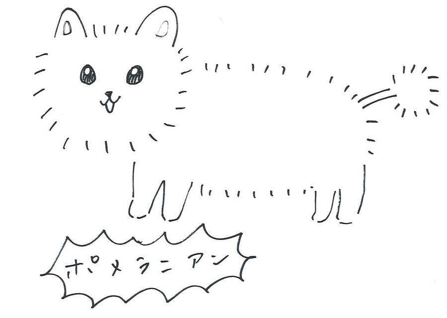 悲報 うちの社員に まともにポメラニアンを描けるヤツがいない 悲報 うちの社員に まともにポメラニアンを描けるヤツがいない
