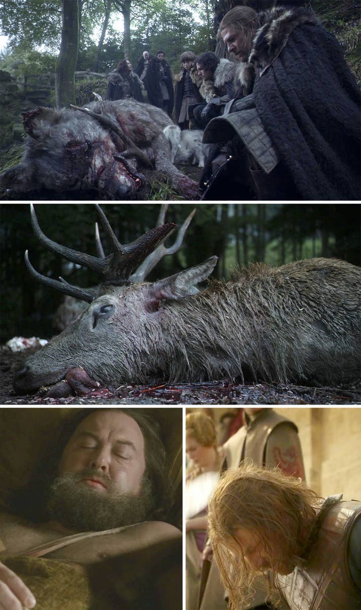 A direwolf that was much further south than it should have been, killed by a stag, who itself ended up dead. See what they did there?