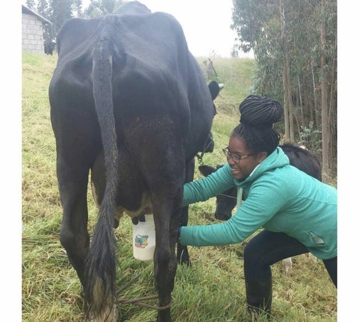 On my host aunt's farm in Ecuador, milking a cow for the first time