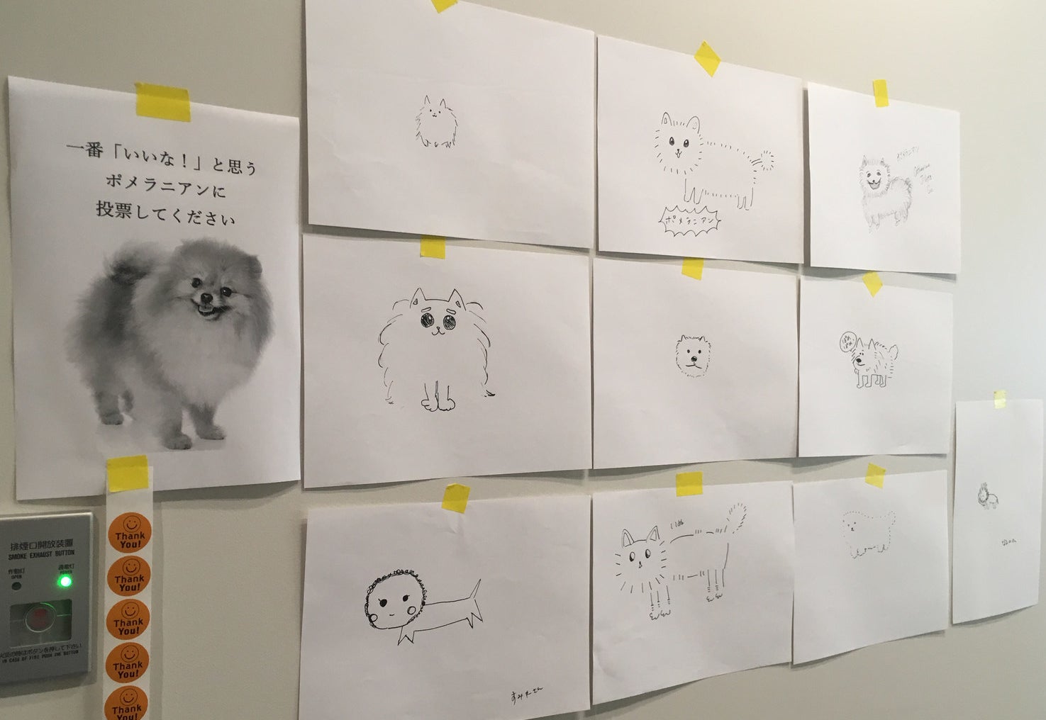 悲報 うちの社員に まともにポメラニアンを描けるヤツがいない 悲報 うちの社員に まともにポメラニアンを描けるヤツがいない