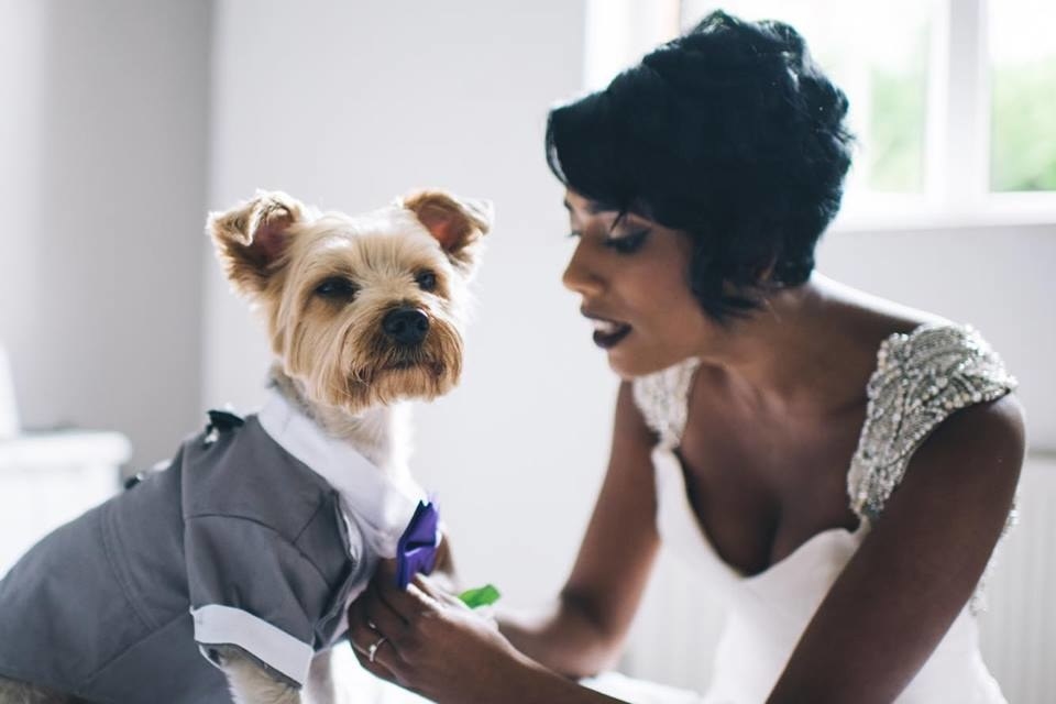 結婚式で指輪を運んだ犬 バージンロードを走る姿がかわいい