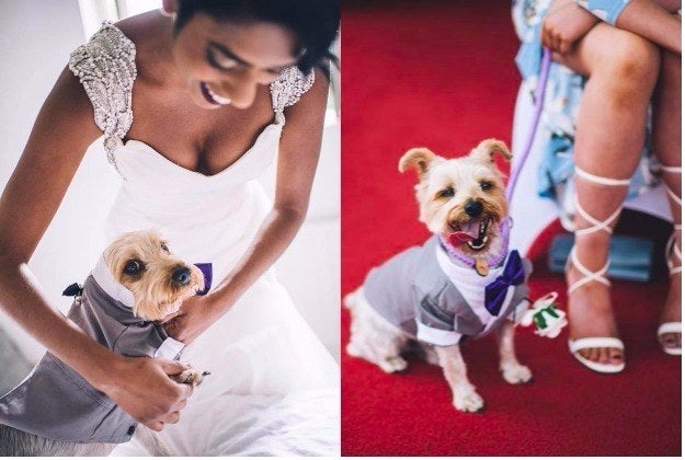 結婚式で指輪を運んだ犬 バージンロードを走る姿がかわいい