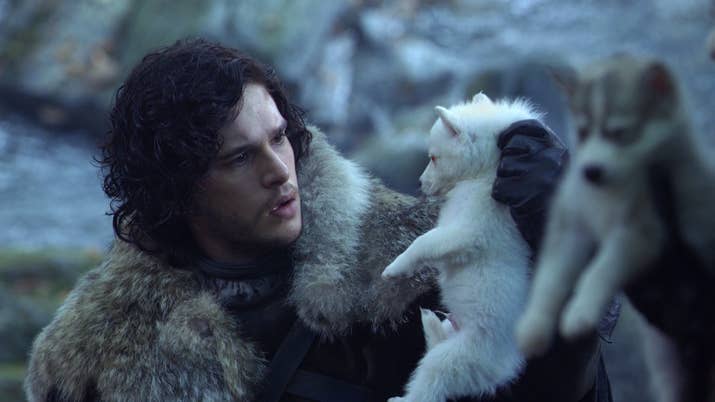 Like Jon, Ghost was the runt of the litter. But the more telling thing, knowing what we know now, was Ghost's bright white colour – hinting at Jon's secret Targaryen heritage.