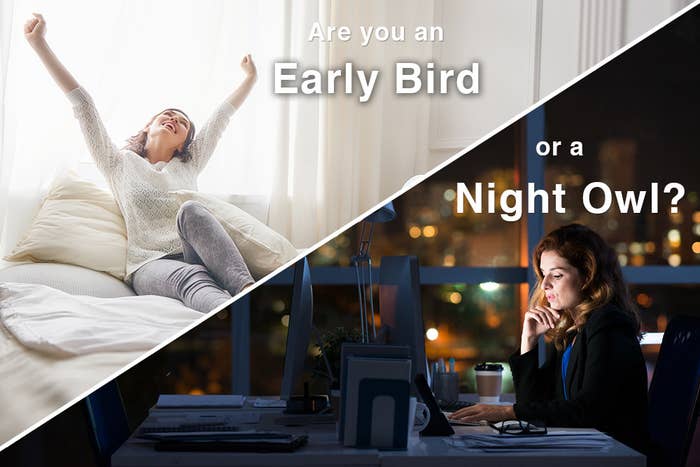 Teen Night Owls Struggle To Learn And >> What Early Bird And What Night Owl Are You Teen Night Owls Struggle To Learn And >> What Early Bird And What Night Owl Are You