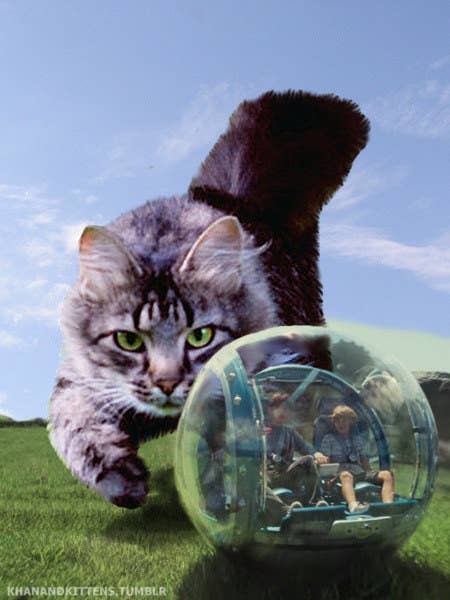 ジュラシック パーク の恐竜をねこに置き換えている写真が面白すぎる