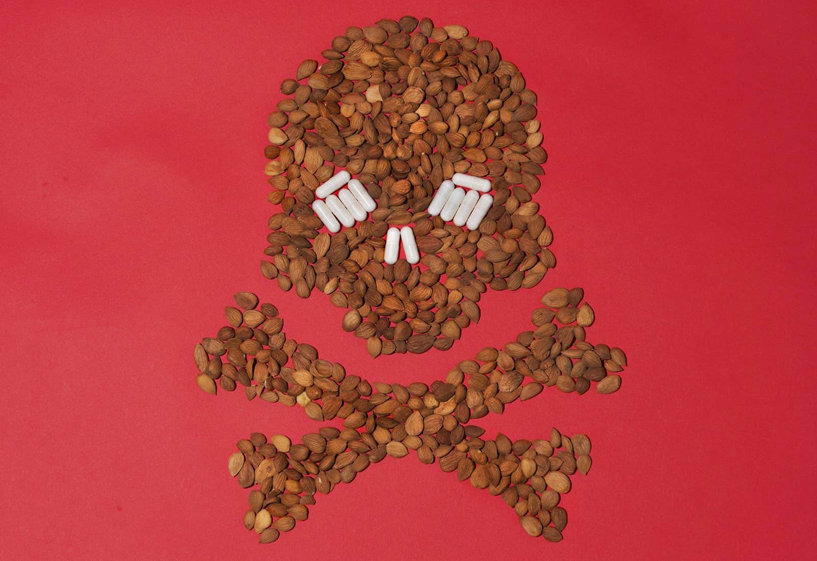 Wellness Way Of Life Edition 10