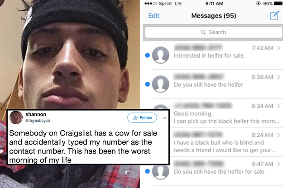 Someone Put This Teen S Number On A Craigslist Ad For A Cow And Now His Phone Is Blowing Up