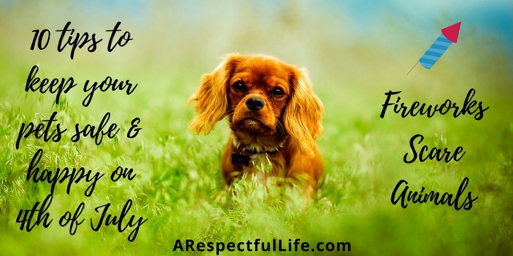 10 Tips For Pet Safety During 4th of JulyAccording to LostDogsOfAmerica.org more pets runaway on the 4th of July than any other day of the year. The Humane Society states that “animal shelters around the nation report a dramatic increase in lost pets during the Fourth Of July holiday”.Between loud parties, strange guests, and loud fireworks, pets are out of their normal element. Often times we take them with us to picnics, the lake, and to places they are unfamiliar with. The fact is, animals cower at the sound of firecrackers and fireworks displays. The bright lights will often send them into panic mode. Their desire to escape these sights and sounds make runaway pets common on this National holiday.Here are a 10 quick tips to help you ensure your pet safety during the Independence Day Holiday: Always Tag Your Pets! Virtually every pet store and many grocery stores now have pet tags or automated machines that create pet tags for under $10.00. There is no reason why every pet that can go outdoors should not have a collar and tag. You can also get tage on Amazon for a whopping $3.70 CLICK HERE http://amzn.to/2syLDVQ Leave Your Pets At Home! Loud crowded venues and Fireworks displays are terrifying for pets. Don’t bring your pets to these events. Get Your Dogs Outdoors! PRIOR to Fireworks take them for some exercise and to go potty. Keep Your Pets Indoors! During all Fireworks, keep your pets indoors and try to close all open windows and curtains if possible. Give Your Pets Something To Do! During fireworks, make sure they have their favorite toys and something to chew on. Give Your Pets a Safe Place! Some pets will hide and it often helps if they have a bed or crate that they are comfortable in. Get Your Pet Therapy! If you happen to have a pet that is sound phobic, you can try music that is calming and therapeutic. There is a product available that is a calming aid to dogs called: PetNC Natural Care Calming Formula Soft Chews http://amzn.to/2ubxKik Avoid Chemicals! I know this sounds like a no brainer, but insect repellents, sunscreen, and things like citronella candles are unnatural for pets. Only use pet approved products. Try The ThunderShirt! For overly anxious dogs there is a product called ThunderShirt – Click HERE. http://amzn.to/2tcVPFn Here is the review by CBS News on the product: https://youtu.be/2Km2VqyJjXI If Your Pet Is Lost: The American Society for the Prevention of Cruelty to Animals® (ASPCA®) has an app that can help you locate your pet at https://www.aspca.org/pet-care/general-pet-care/aspca-mobile-app . In addition, The Humane Society has the Center For Lost Pets at: http://www.thecenterforlostpets.com/Thank you for taking time to read these tips. I am an animal lover and animal advocate. If you are interested in information about Veganism, please visit my Vegan Resource List. https://www.arespectfullife.com/govegan/JT