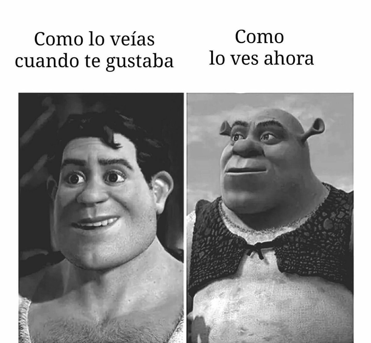 19 Memes que entenderás si tú y Shrek son uno mismo