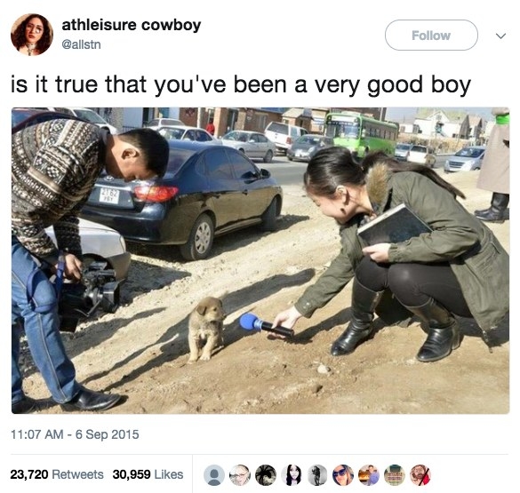 It's no secret that everybody loves a good boy.