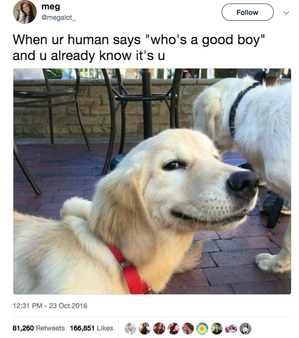 Especially the internet. There are so many good boys everywhere you look.