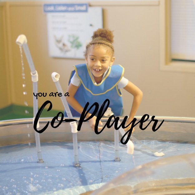 Co-Player