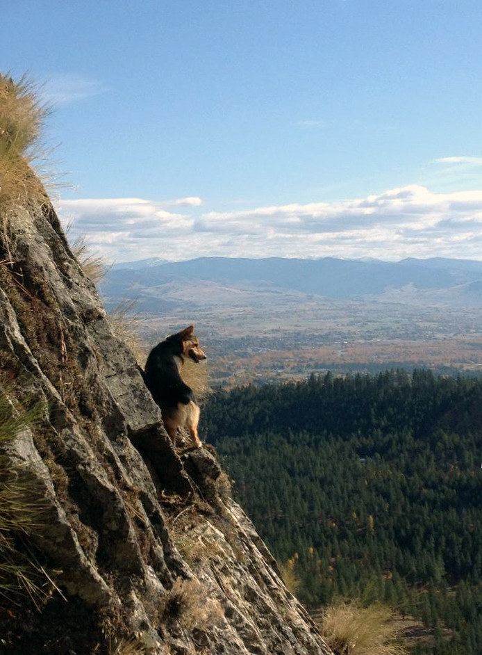 Raised in the mountains of Montana, Tedford learned the skills of moving swiftly on uneven terrain and summited several of the highest peaks in the Bitterroot Mountain range.