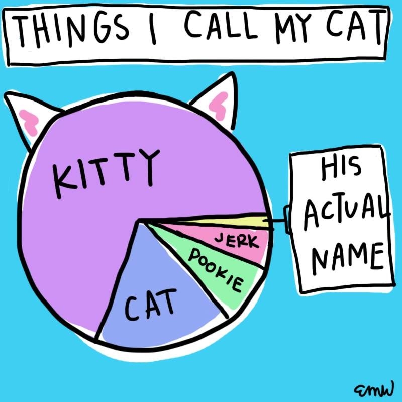 graph about a cat