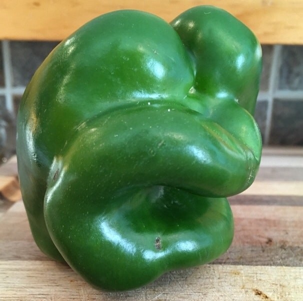 This pepper looks like an angry toad: