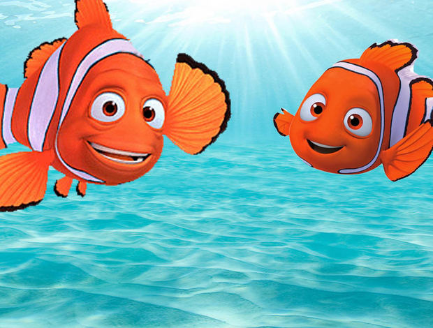 The Truth Behind Finding Nemo Is Really Going To Mess Free Download Nude Photo Gallery