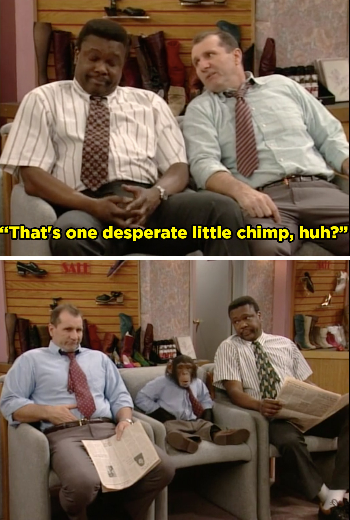 Mr. Zippy sitting between Al and Griff as they say, &quot;That&#x27;s one desperate little chimp, huh?&quot;