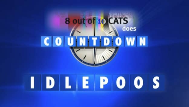 Can You Solve These Sweary Cats Does Countdown Conundrums Can You Solve These Sweary Cats Does Countdown Conundrums