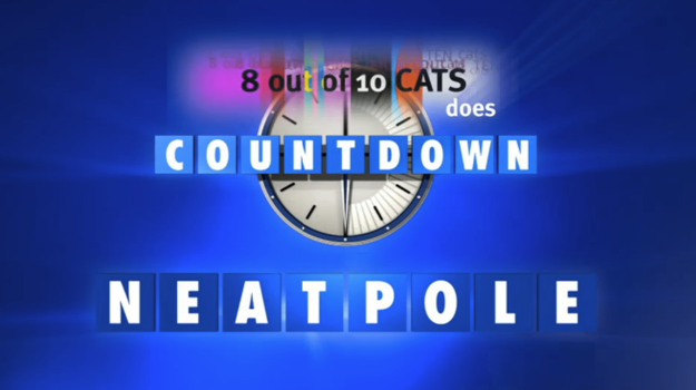 Can You Solve These Sweary Cats Does Countdown Conundrums