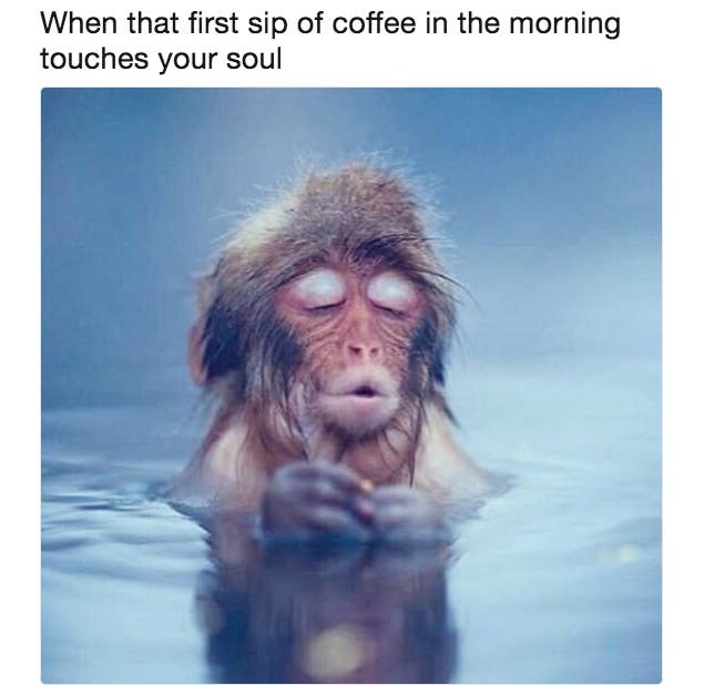 37 Memes That Will Make Every Coffee Lover Say That S Me