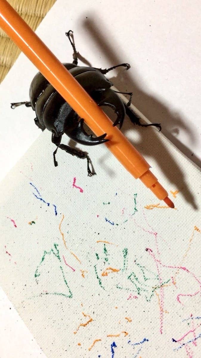 クワガタが描いた絵が芸術的すぎる ネットから賞賛の嵐