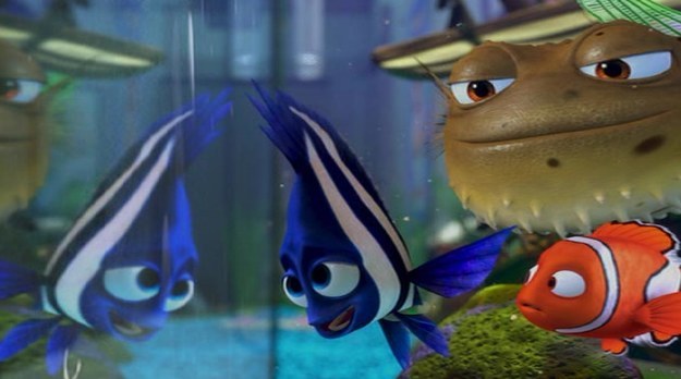 finding nemo fish names in the tank