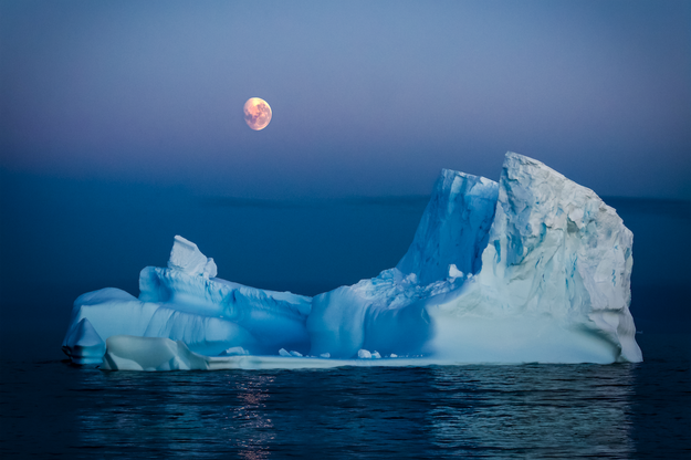 The submissions were stunning, magnificent, wholly life-changing. But most importantly, they reminded us how crucial it is to protect our beautiful oceans.