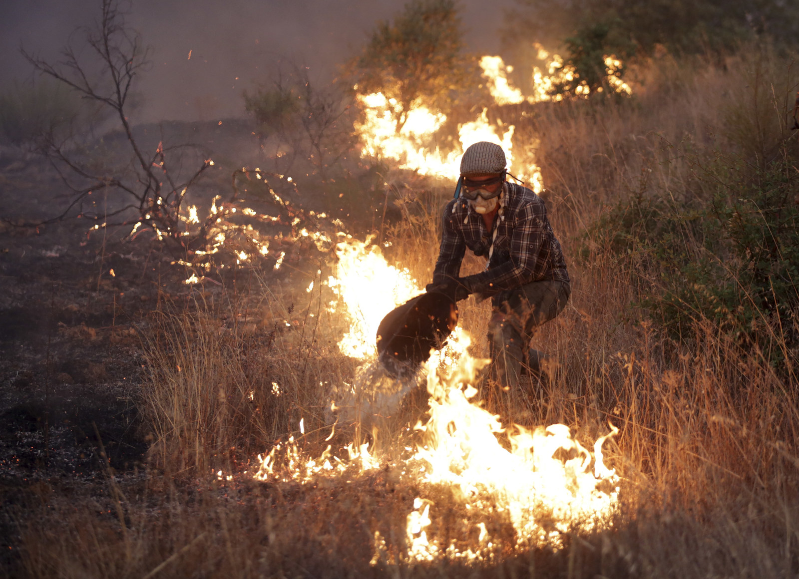 30 Devastating Images From Wildfires That Have Scorched The World