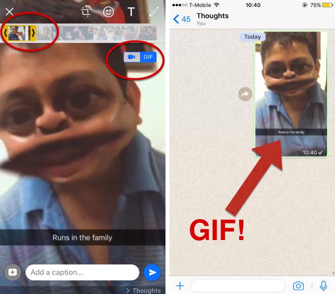 * Go to any chat, and click the "+" icon on the bottom left.* Click on "Photo & Video Library" from the popup menu.* Select a video from your library (make sure it's under the WhatsApp limit of 64MB).* In the video editing view, slide the video length cropper down to 5 seconds or less (because which monster wants GIFs longer than that anyway).And that's how you can easily turn your videos into a GIF. EVERYTHING IS BETTER WHEN IT'S LOOPED.