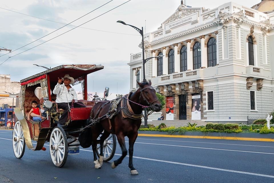 Fueron los primero vehículos en la ciudad y con el tiempo evolucionaron para convertirse en una atracción turística.