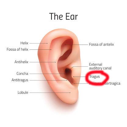 Here S Why Your Ears Are Always Itchy As Fuck