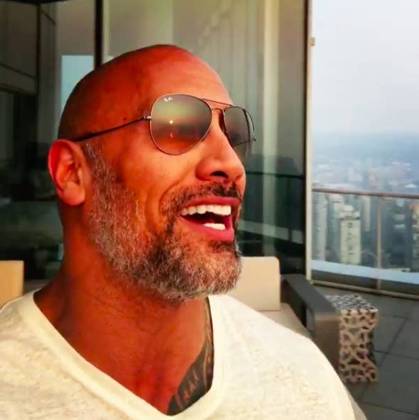 Dwayne Johnson The Rock - RoygbivR- Famous Humanoids