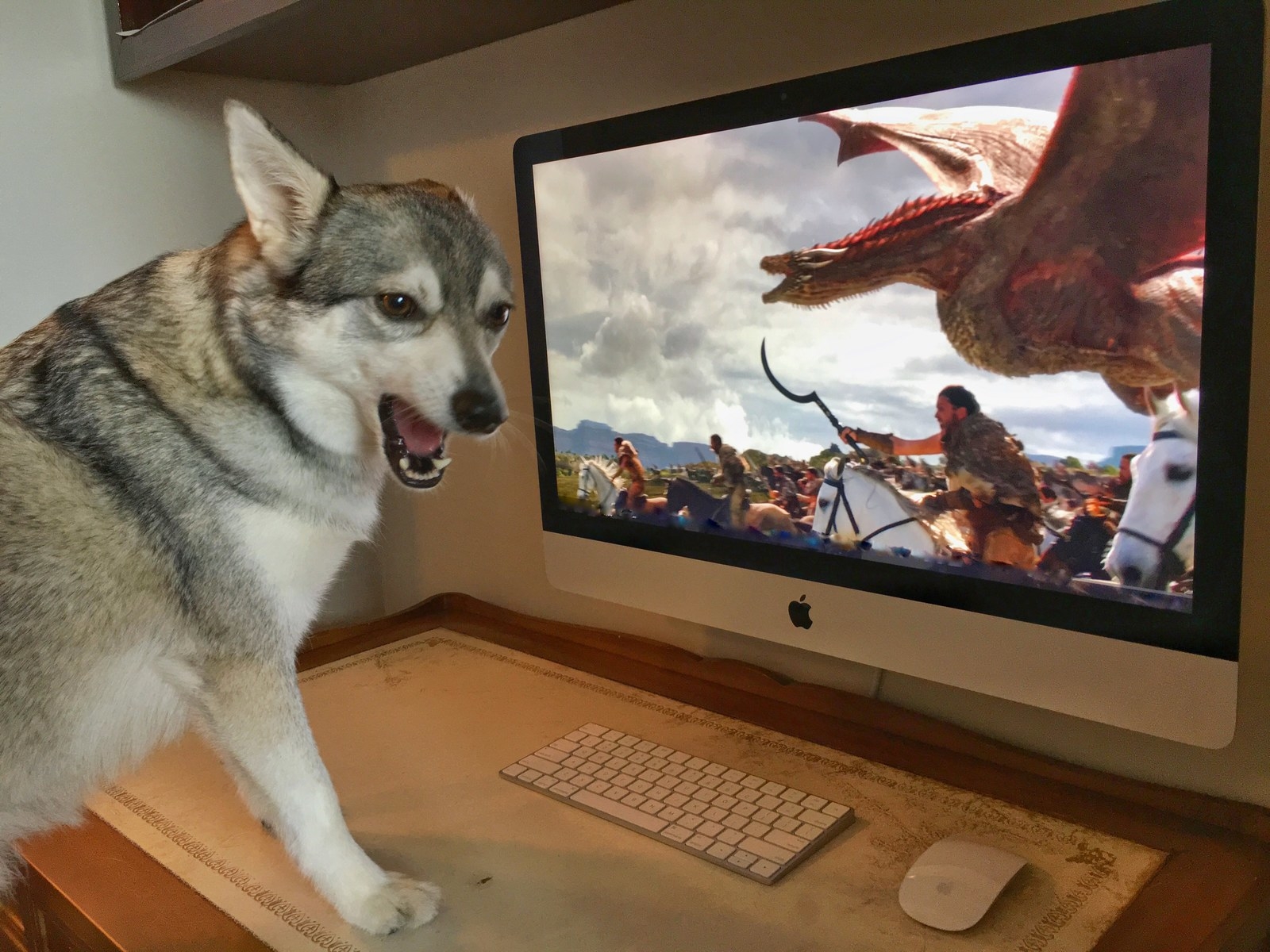 Tae kwon-Drogon, ATTACKKKKKK