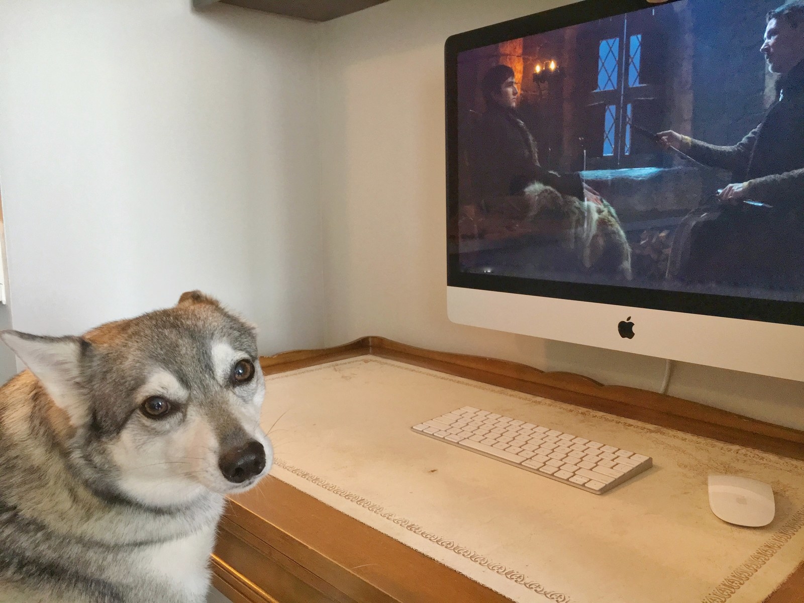 BRAN KNOWS ALL, LADDER CLIMBER!