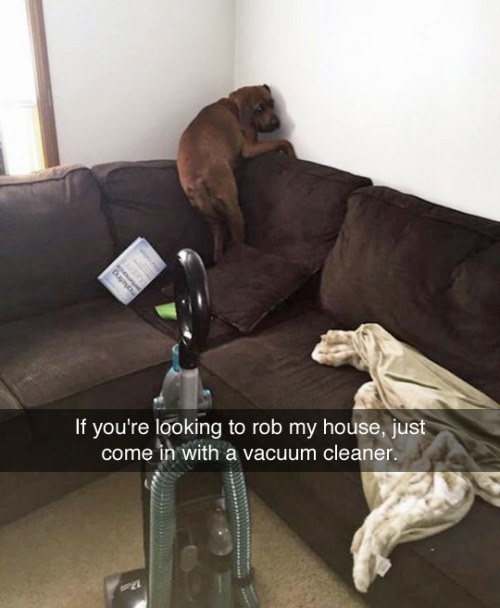 21 Adorable Snapchats That Will Make You Say 