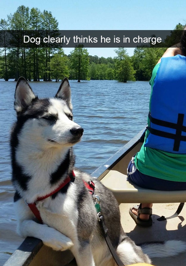 This captain of the seas.