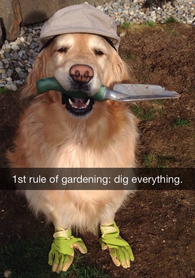 This helpful little guy.