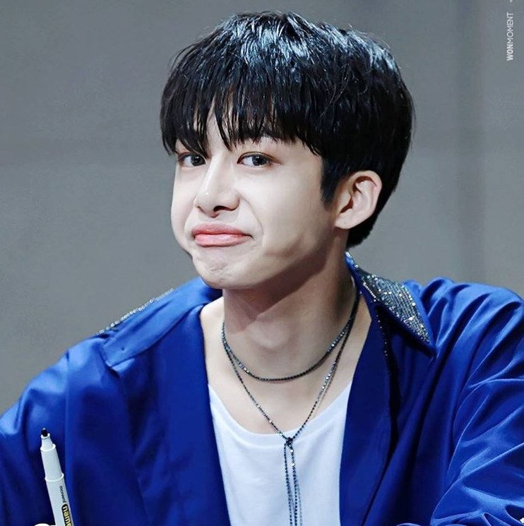 Doesn't this remind you of the Pepe frog???