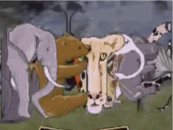 Fondest memory: Learning about SO MANY ANIMALS.