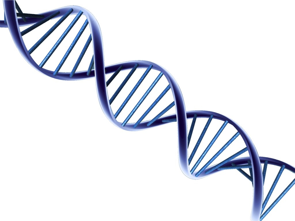 Since the inclusion of the DIY DNA ancestry kits, the search for ancestors has been revolutionized so there is no need to resort to just the normal method of gathering blood samples through the needles pricks to piece the stories of the past together, the archaic records that withstood the test of time and natural elements throughout the centuries. Also, those who are afraid of needles, especially the syringes because of blood testing being one way to trace someone’s DNA and even to test if they really match, may not have to worry much about having to follow the advice in case someone has to live through with it as part of the requirement for life insurance plans, medical record updates, or just to satiate one’s curiosity of what they are like if they are living the same life as the ancestors during the past centuries. The portable testing kits can be handed out during those events with the research groups as the sponsors, as long as the attendees are willing to participate in the tests that will determine whom they had been closely associated with by blood and inheritance.Indeed, trends may come and go, but these ancestry kits may stay as one of the greatest inventions ever made, mainly because of the ongoing revolution in their quest for knowledge. Not to mention that they are quite convenient also as long as proper discretion is kept in mind at all times.