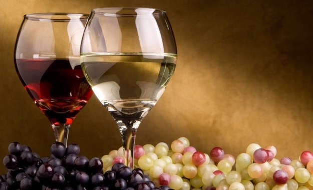 Wine-tasting