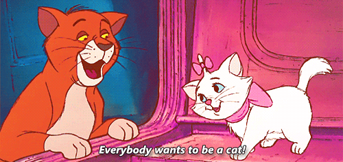 Notable Song: Everybody Wants to Be A Cat