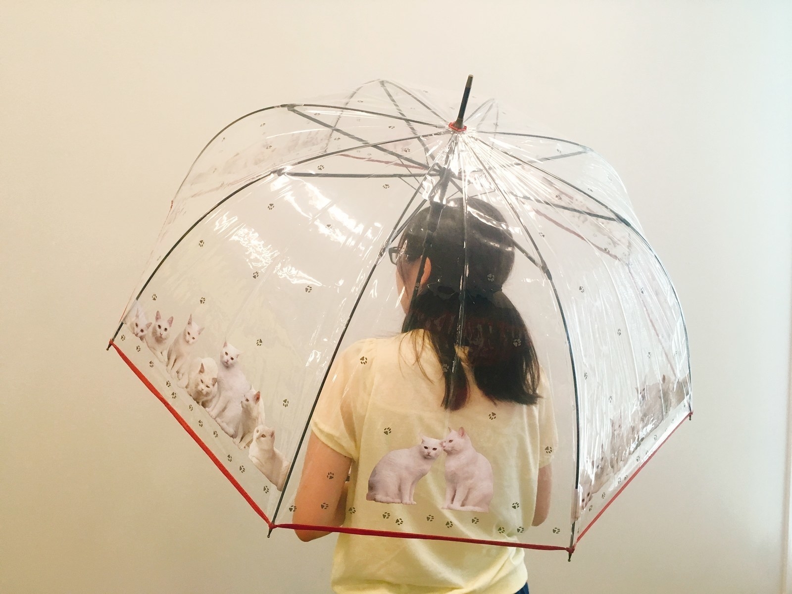 これはほしい 最近の ビニール傘 がむちゃくちゃ可愛くなってた