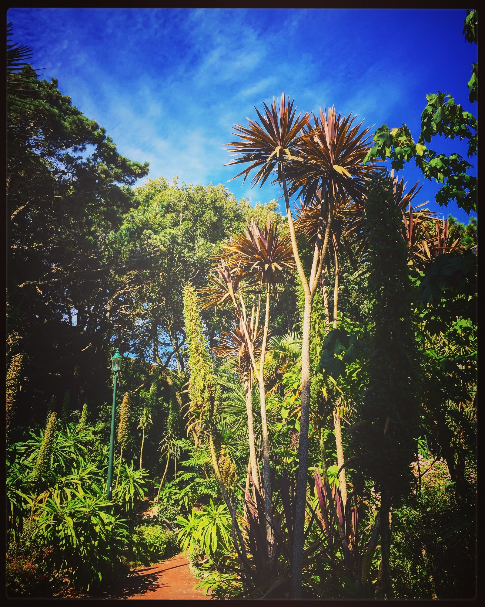 If the thought of getting sand in your pants doesn’t tickle your fancy (and if it does, each to their own…) there are plenty of green and pleasant places to pop down a picnic blanket and enjoy the sun. Bournemouth Gardens are just a short stroll from the town centre – perfect for a quick snack run – while Alum Chine tropical gardens have stunning views over the seafront (and great Insta potential!) If you don’t mind travelling a bit further afield, the ultimate garden is just a short train or car journey away – the New Forest National Park! Cycle, hike, explore, enjoy a scenic pub lunch, and see if you can spot the super-cute roaming ponies.
