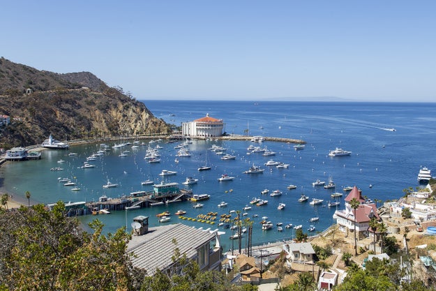 Santa Catalina Island, California