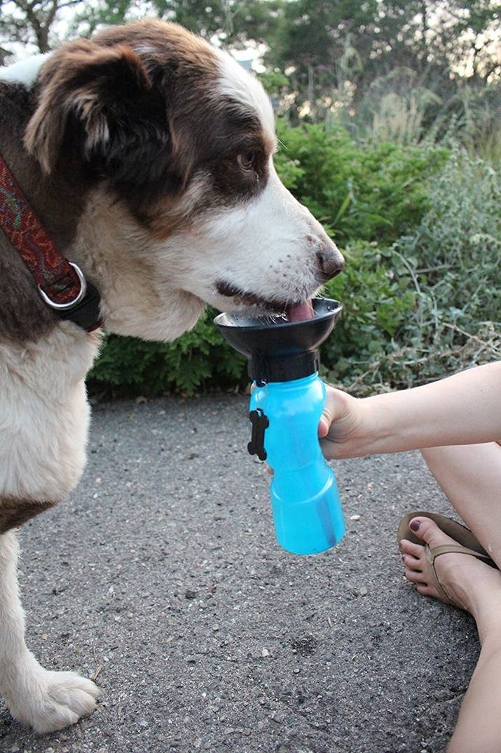 Promising review: "Keeps water from spilling in the car or in your bag. I would literally fill it up and toss it in his travel bag with no spillage at all. I've had it for several months and it worked perfectly!! The built-in cup at the top makes it easy for your pet to drink and whatever is left drains back into the bottle." —SRCGet it from Amazon for $6.59 (available in three colors).