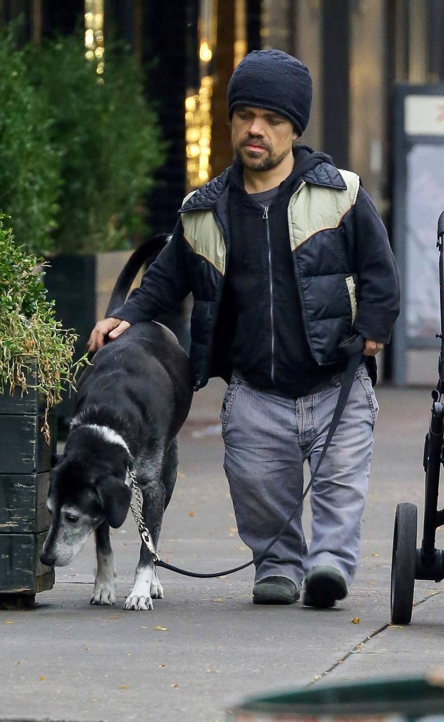Peter Dinklage Doesn T Like What Some Game Of Thrones Fans Are Doing To Huskies Peter Dinklage Doesn T Like What Some Game Of Thrones Fans Are Doing To Huskies